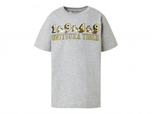 Onitsuka Tiger Graphic Tee Oberteile Kinder Grau | CG6724510
